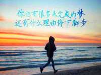 合肥瑶海区王韩服装网店