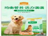 合肥瑶海区王韩服装网店