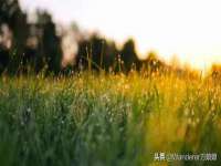 合肥瑶海区王韩服装网店