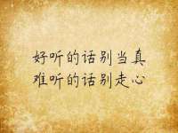 合肥瑶海区王韩服装网店