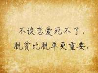 合肥瑶海区王韩服装网店