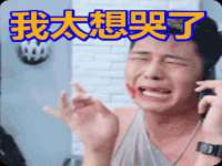 合肥瑶海区王韩服装网店