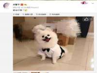 合肥瑶海区王韩服装网店