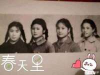 合肥瑶海区王韩服装网店