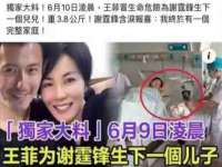 合肥瑶海区王韩服装网店