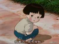 合肥瑶海区王韩服装网店