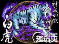 合肥瑶海区王韩服装网店