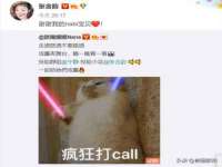 合肥瑶海区王韩服装网店
