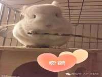 合肥瑶海区王韩服装网店