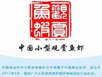 合肥瑶海区王韩服装网店