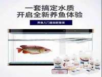 合肥瑶海区王韩服装网店