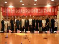 合肥瑶海区王韩服装网店