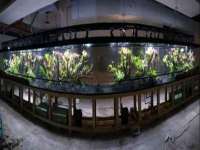 合肥瑶海区王韩服装网店