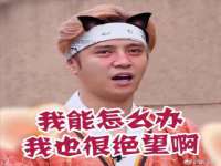 合肥瑶海区王韩服装网店