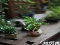 合肥瑶海区王韩服装网店