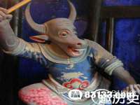 合肥瑶海区王韩服装网店