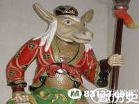 合肥瑶海区王韩服装网店