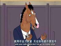 合肥瑶海区王韩服装网店