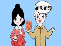 合肥瑶海区王韩服装网店
