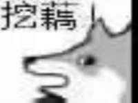 合肥瑶海区王韩服装网店