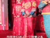 合肥瑶海区王韩服装网店