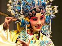 合肥瑶海区王韩服装网店