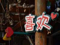 合肥瑶海区王韩服装网店