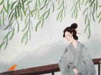 合肥瑶海区王韩服装网店