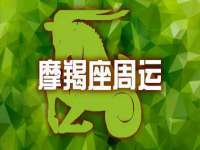 合肥瑶海区王韩服装网店