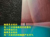合肥瑶海区王韩服装网店