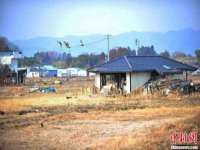 合肥瑶海区王韩服装网店