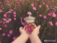 合肥瑶海区王韩服装网店