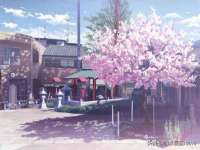 合肥瑶海区王韩服装网店