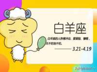 合肥瑶海区王韩服装网店