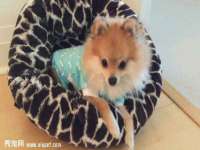 合肥瑶海区王韩服装网店