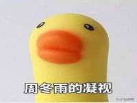 合肥瑶海区王韩服装网店