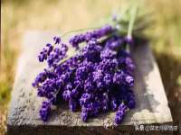 合肥瑶海区王韩服装网店