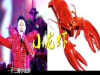 合肥瑶海区王韩服装网店