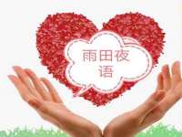 合肥瑶海区王韩服装网店