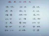 合肥瑶海区王韩服装网店