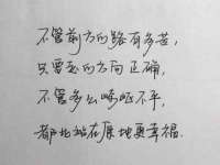 合肥瑶海区王韩服装网店