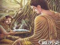 合肥瑶海区王韩服装网店